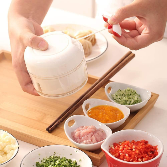 Mini Hand Food Chopper